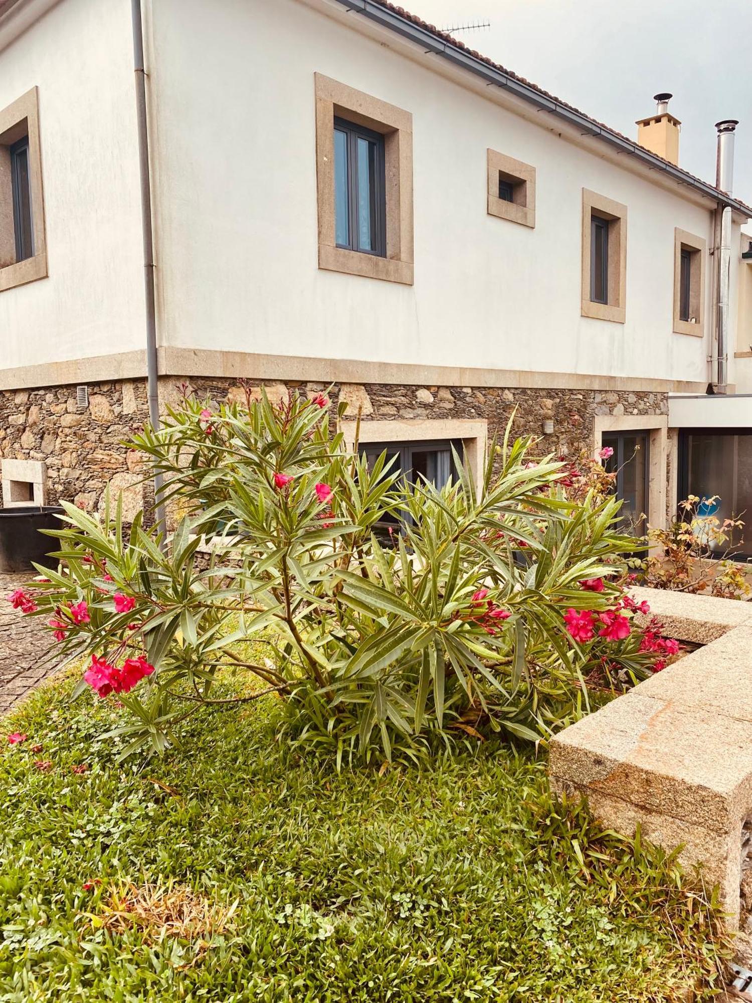 Serra De Arga Mountain House Montaria ภายนอก รูปภาพ